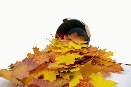 autumnal colored leaves lie in front of a small bucketの写真素材