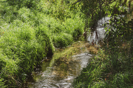 beautiful brook in the sunlight. Location: Germany, North Rhine-Westphalia, Marbeckの写真素材