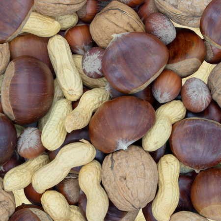 different kinds of nutsの写真素材