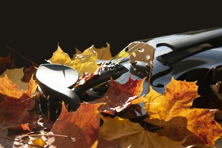 autumnal picture with maple leaves in bold colors and the detail of a black violin.Close-up in natural sunlightの写真素材