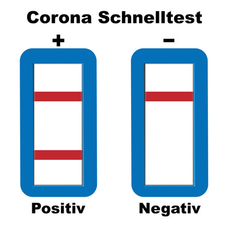 Hand holds mobile phone with digital certificate of vaccination. vectorのイラスト素材