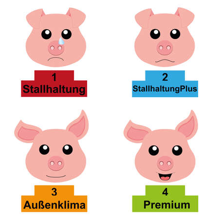 Posture levels from 1 to 4 for the pig, vector. Text in German (stable, stable plus, outdoor climate, premium)のイラスト素材