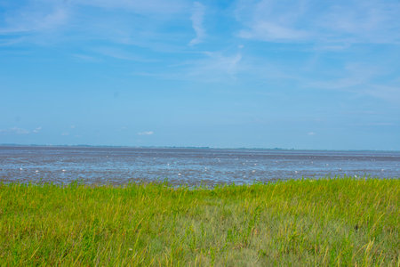 View of the North Sea at low tide in Burhave