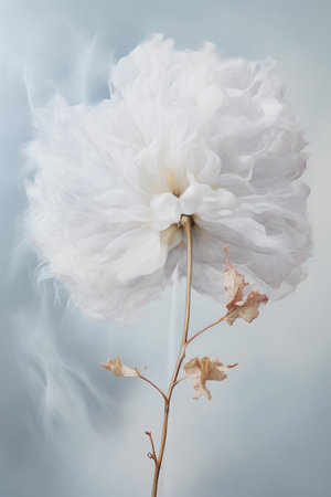 Close-up photo of white fluffy flowers on a blue background. Printable vertical wall art in light tones. AI generativeの素材