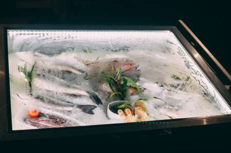 Mini fridge in the form of a showcase, in which there are many different fish, vegetables and shrimpの写真素材