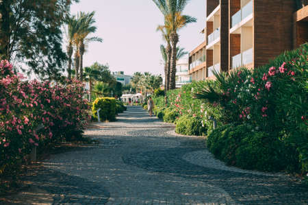 A pedestrian road along the beautiful promenade for walks and sports in Bodrumの写真素材
