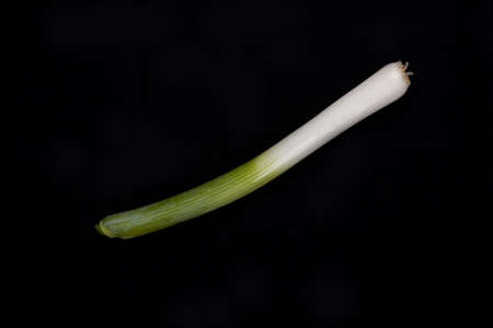 Fresh baby  leek  isolated on a black backgroundの写真素材
