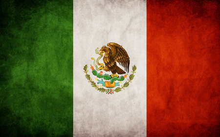 Mexican flag のイラスト素材