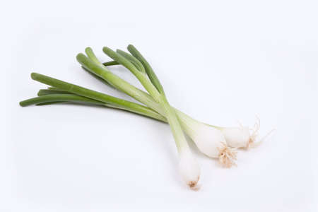 Spring onions isolated on a white backgroundの写真素材