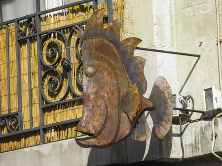 Fish on streetのeditorial素材