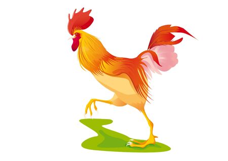 rooster walkingのイラスト素材