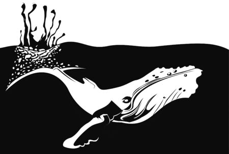 whale in the sea black and whiteのイラスト素材