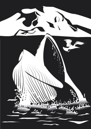 Whale emerging from the sea in black and whiteのイラスト素材