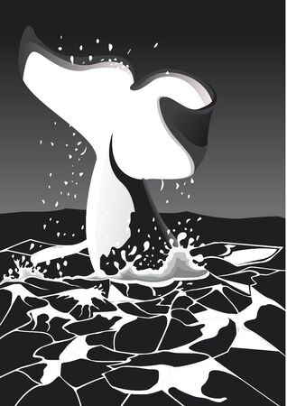 whale's tail in ocean in black and whiteのイラスト素材