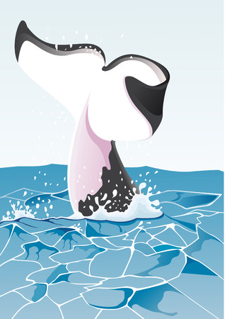 whale's tail in oceanのイラスト素材