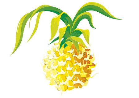 Yellow Pineapple.のイラスト素材