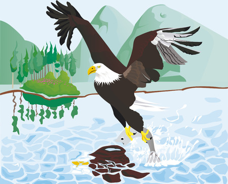 eagle fishingのイラスト素材