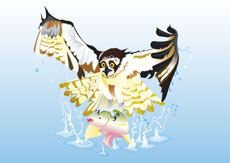 Osprey with fishのイラスト素材