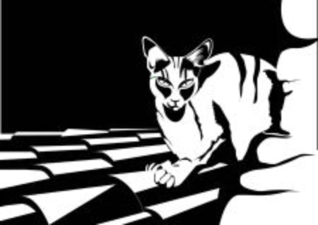 Kitten in black and white illustration.のイラスト素材