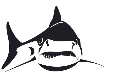 an angry shark in black and white styleのイラスト素材