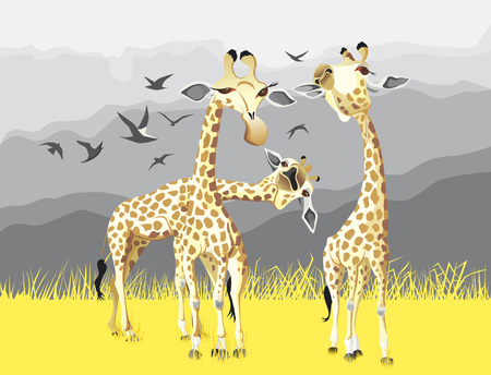 Three giraffes illustration.のイラスト素材