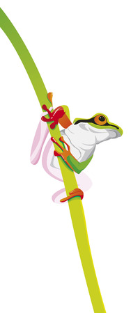 Green frog on green grass.のイラスト素材