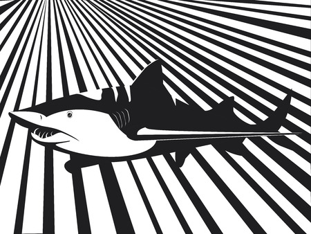 Shark in black and whiteのイラスト素材