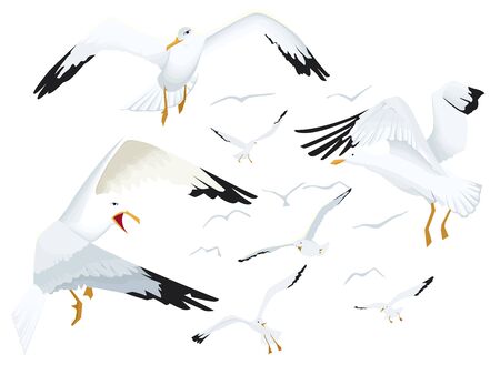A dance of seagulls in the skyのイラスト素材