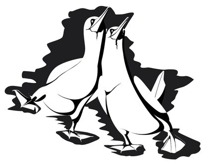 Two gannets walking in black blockのイラスト素材