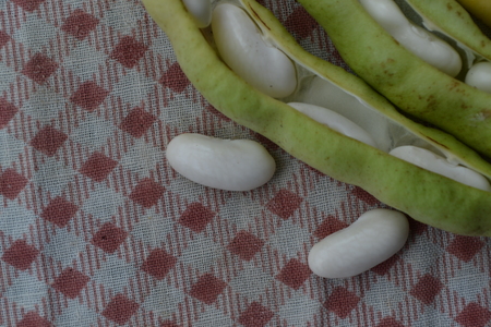Beans. Phaseolus. Bean Seeds. Legumes. Kitchen. Recipes. Tablecloth. Before cooking. Delicious....