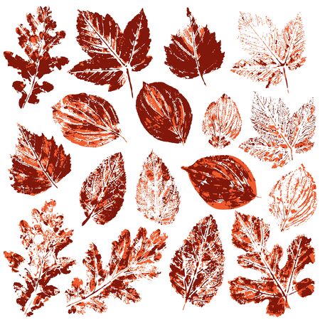 Set of vector drawings with acrylic paints. Collection of autumn leaves in red. Two-color print, imprint. Good for autumn design of bannersのイラスト素材