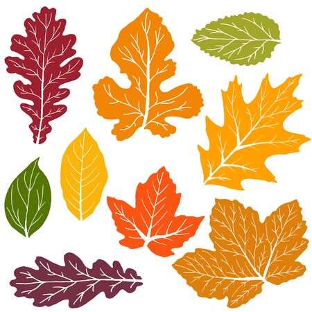 Set of vector drawings. Collection of colorful autumn leaves isolated on a white background. Good for social networks, advertising. Cartoon styleのイラスト素材