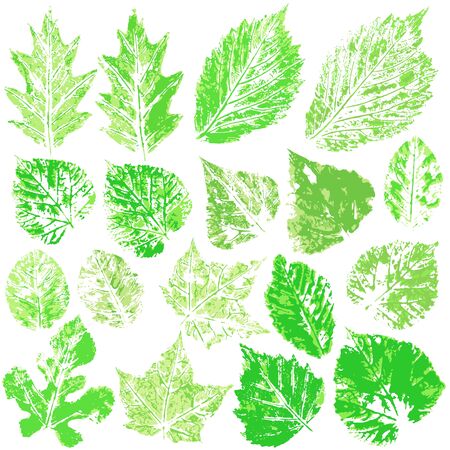 Set of vector drawings with acrylic paints. Collection of autumn or spring green leaves. Two-color print, imprint. Good for the designのイラスト素材