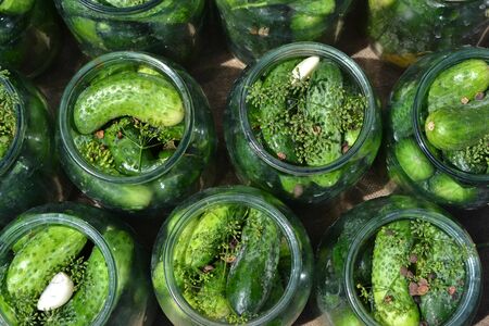 Homemade food. Natural products. Blanks for the winter. Marinated. Cucumbers in jars. Horizontalの写真素材