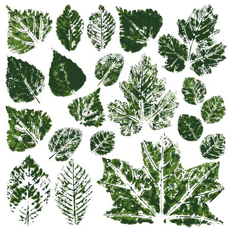 Collection of autumn or spring green leaves. Set of vector drawings with acrylic paints. Two-color print, imprint. Good for the design of banners, flyers, advertising, printing materialsのイラスト素材