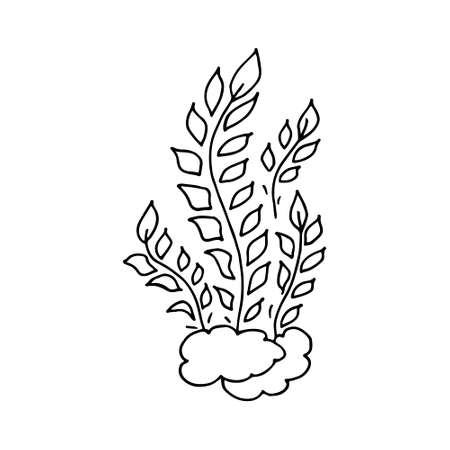 Contour. Swirling shell. Marine theme icon in hand draw style. Cute childish illustration of sea life. Icon, badge, sticker, print for clothesのイラスト素材