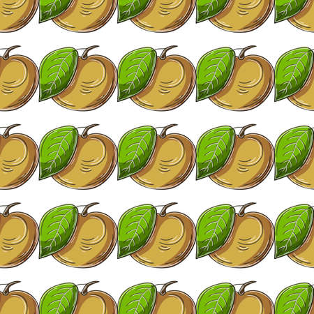 Seamless pattern with tropical fruits. Longan. Illustration in hand draw style. Can be used for fabric, packaging, wrapping paper and etcのイラスト素材