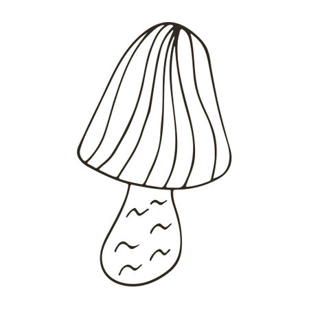Fairy mushroom. Autumn illustration in hand drawn style. Monochrome forest mushroom. Icon, sign, pin, stickerのイラスト素材