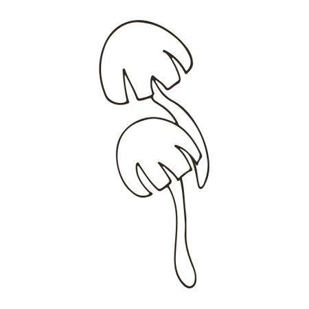 Psilocybe semilanceolate. Autumn illustration in hand drawn style. Monochrome forest mushroom. Icon, sign, pin, stickerのイラスト素材