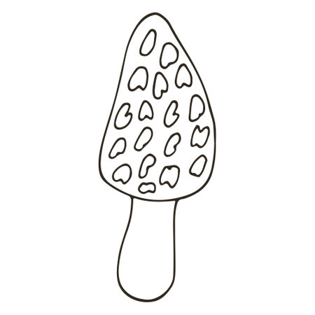 Fairy mushroom. Autumn illustration in hand drawn style. Monochrome forest mushroom. iconのイラスト素材