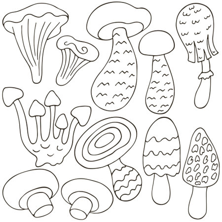 Mushrooms. Set of vector illustrations in hand drawn style. Monochrome poster with forest mushrooms. Collection of stickersのイラスト素材