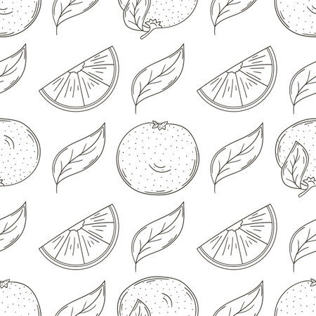 Grapefruit, red orange. Monochrome pattern with tropical fruits. Illustration in hand draw style. Can be used for fabric, packaging, wrapping paper and etcのイラスト素材