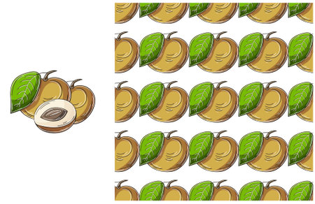 Seamless pattern with tropical fruits. Longan. Set in hand draw style. Can be used for fabric, packaging, wrapping paper and etcのイラスト素材