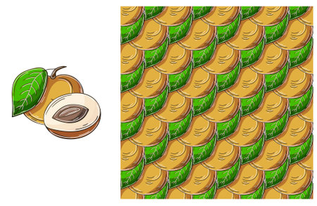 Longan. Seamless pattern for kitchen, restaurant or shop. Set in hand draw style. Can be used for...