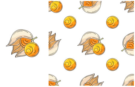 Seamless pattern with tropical fruits. Physalis. Set in hand draw style. Can be used for fabric and etcのイラスト素材