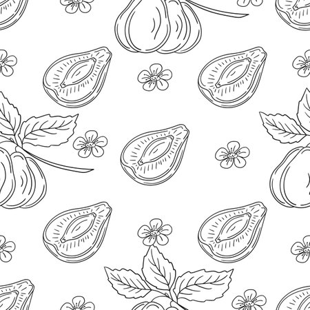 Pattern for textile or kitchen in hand draw style. Plum. Monochrome fruit pattern. Printのイラスト素材