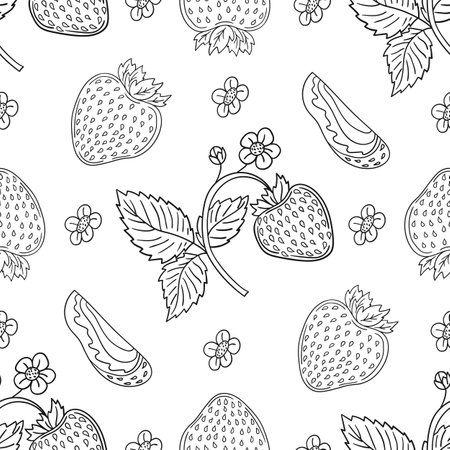 Strawberry. Pattern for textile or kitchen. Monochrome berry pattern in hand draw styleのイラスト素材