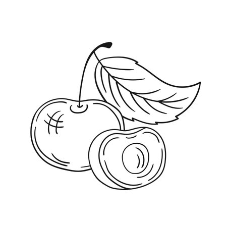 Cute berry illustration in hand draw style. Monochrome. Cherry icon on white background. Design for coloring bookのイラスト素材