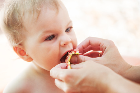 Baby fed by mum -  eating fresh figsの写真素材
