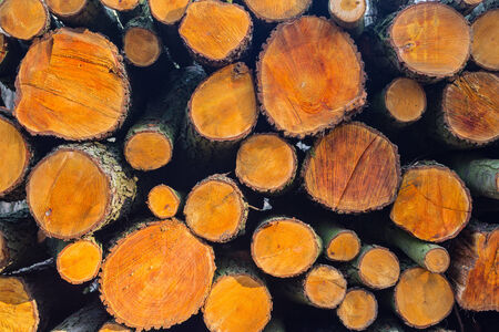 Background of dry chopped firewood logs stacked up on top of each other in a pileの写真素材
